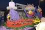 Thumbs/tn_Verlicht bloemencorso 2018 006.jpg